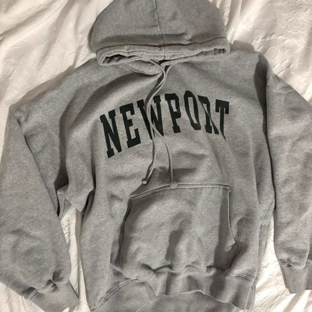 Brandy Melville Newport Gray Hoodie Sweater